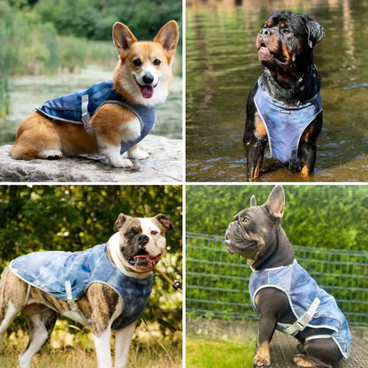 Dog Cooling Vest - Ice Blue (2)