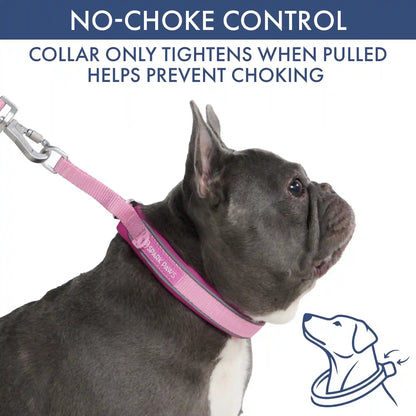 Martingale Collar and Multipurpose Leash Sets
