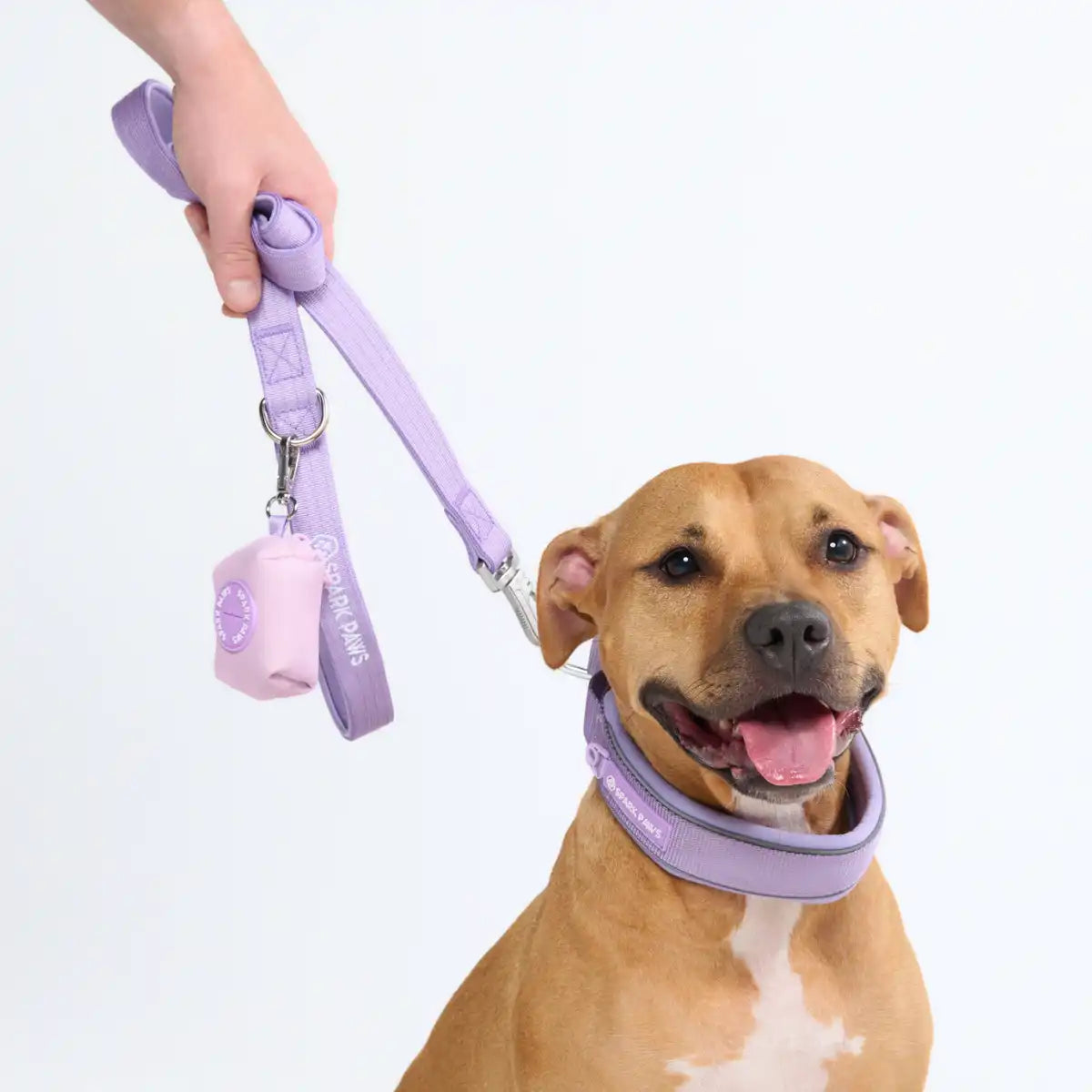Cushioned Martingale Collar - Lilac