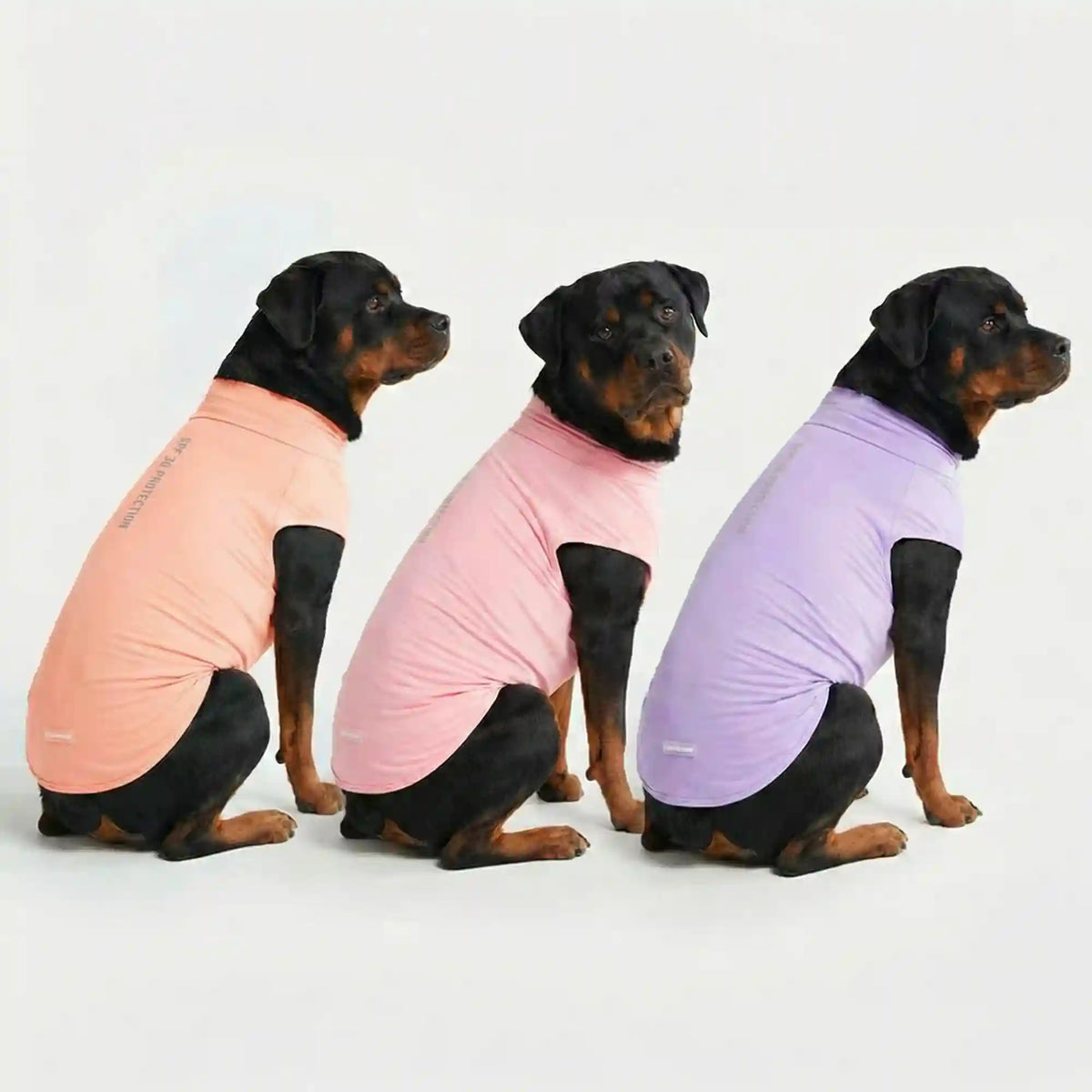 Sunblock T-Shirt 3 Pack