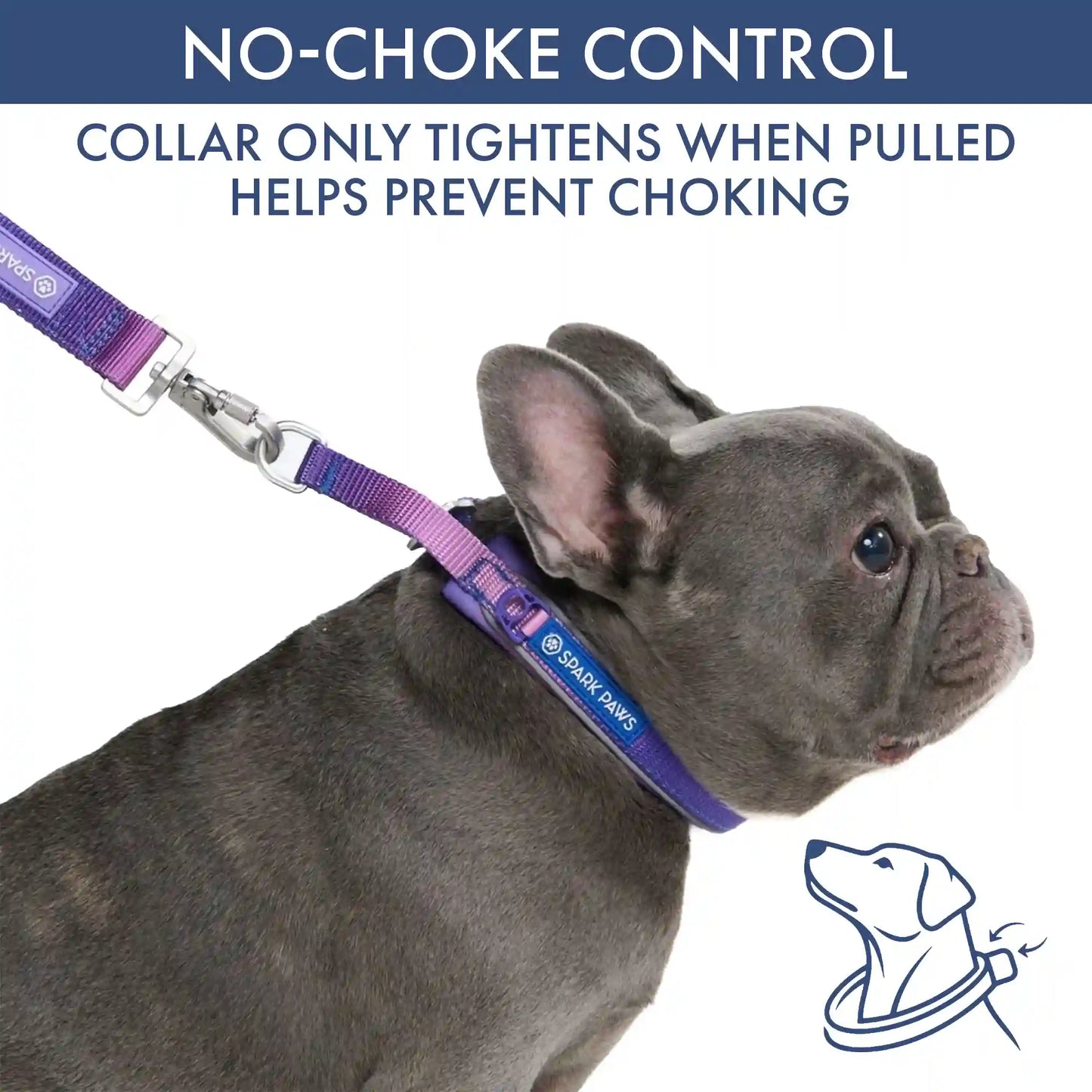Martingale Collar Sets