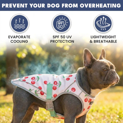 Dog Cooling Vest - Cherries