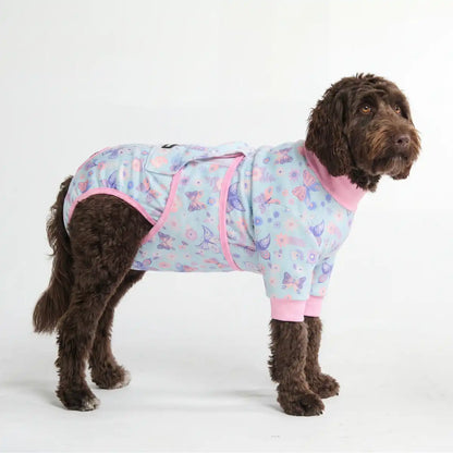 Dog Surgical Suit