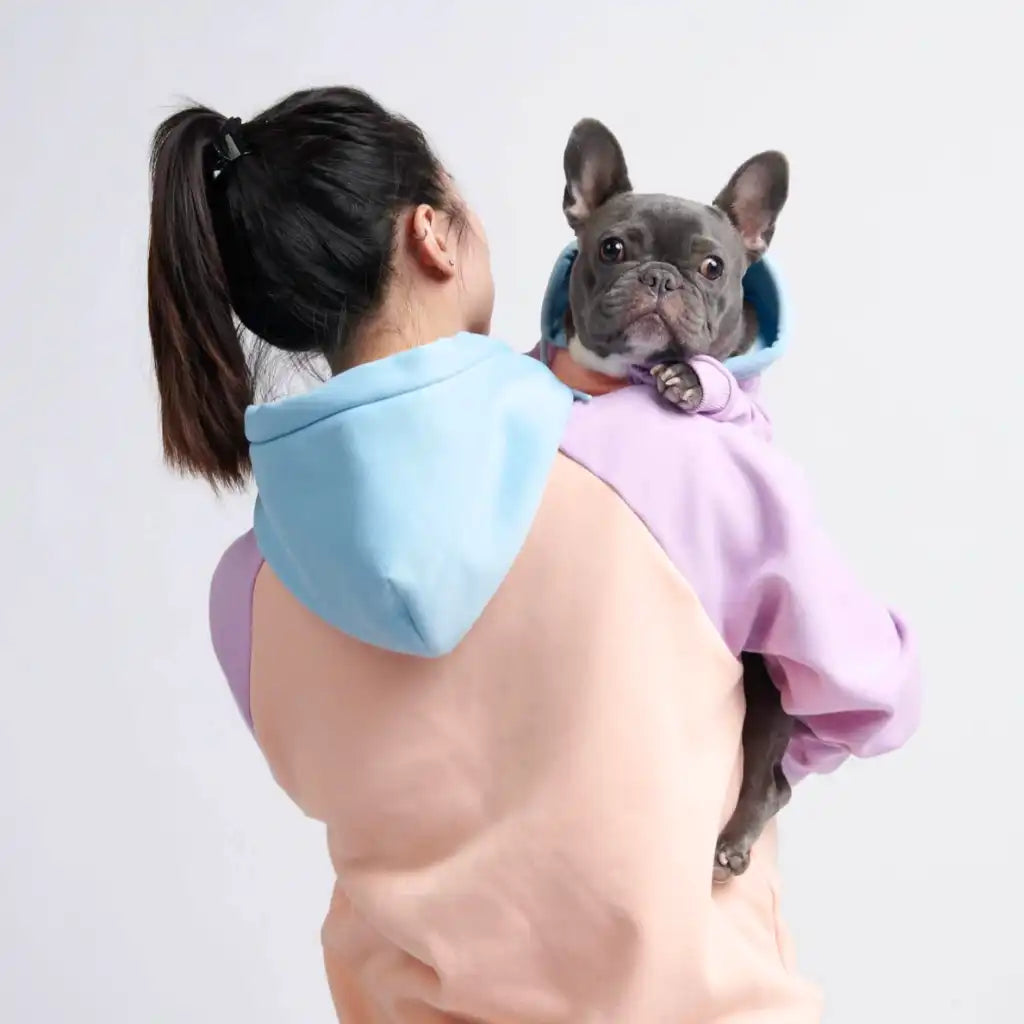 Color Block Dog Hoodies