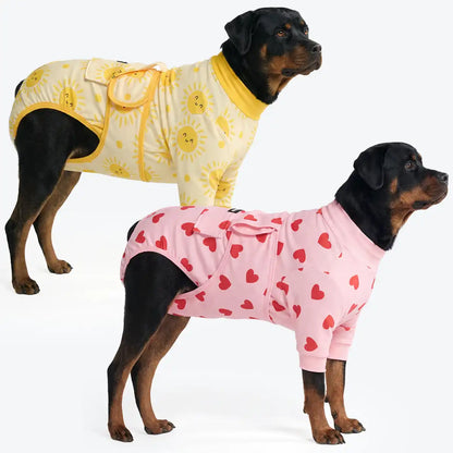 Dog Surgical Suit  2-pack