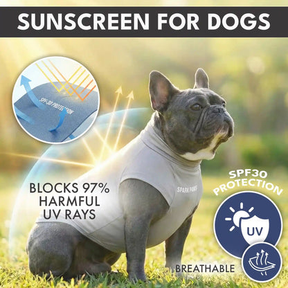 Sunblock Dog T-Shirt 2-pack