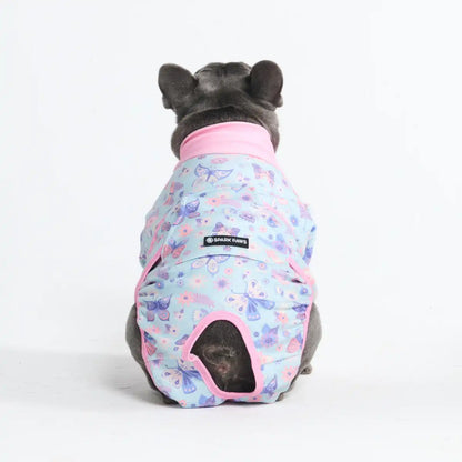 Dog Surgical Suit