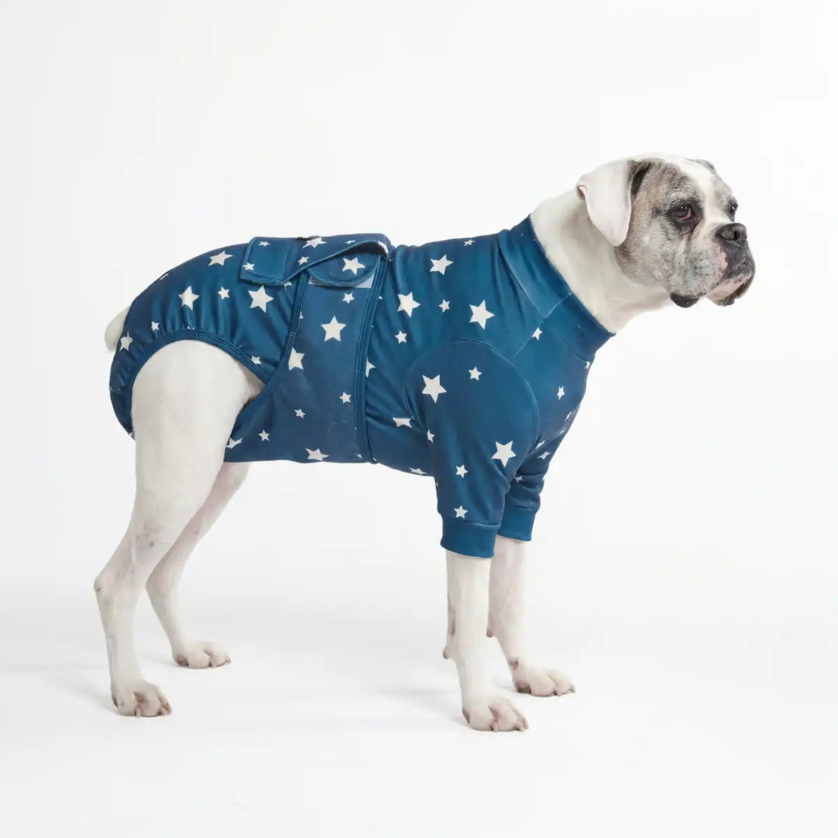 Dog Surgical Suit