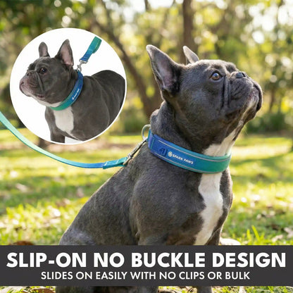 Martingale Collar and Multipurpose Leash Set - Lime Wave