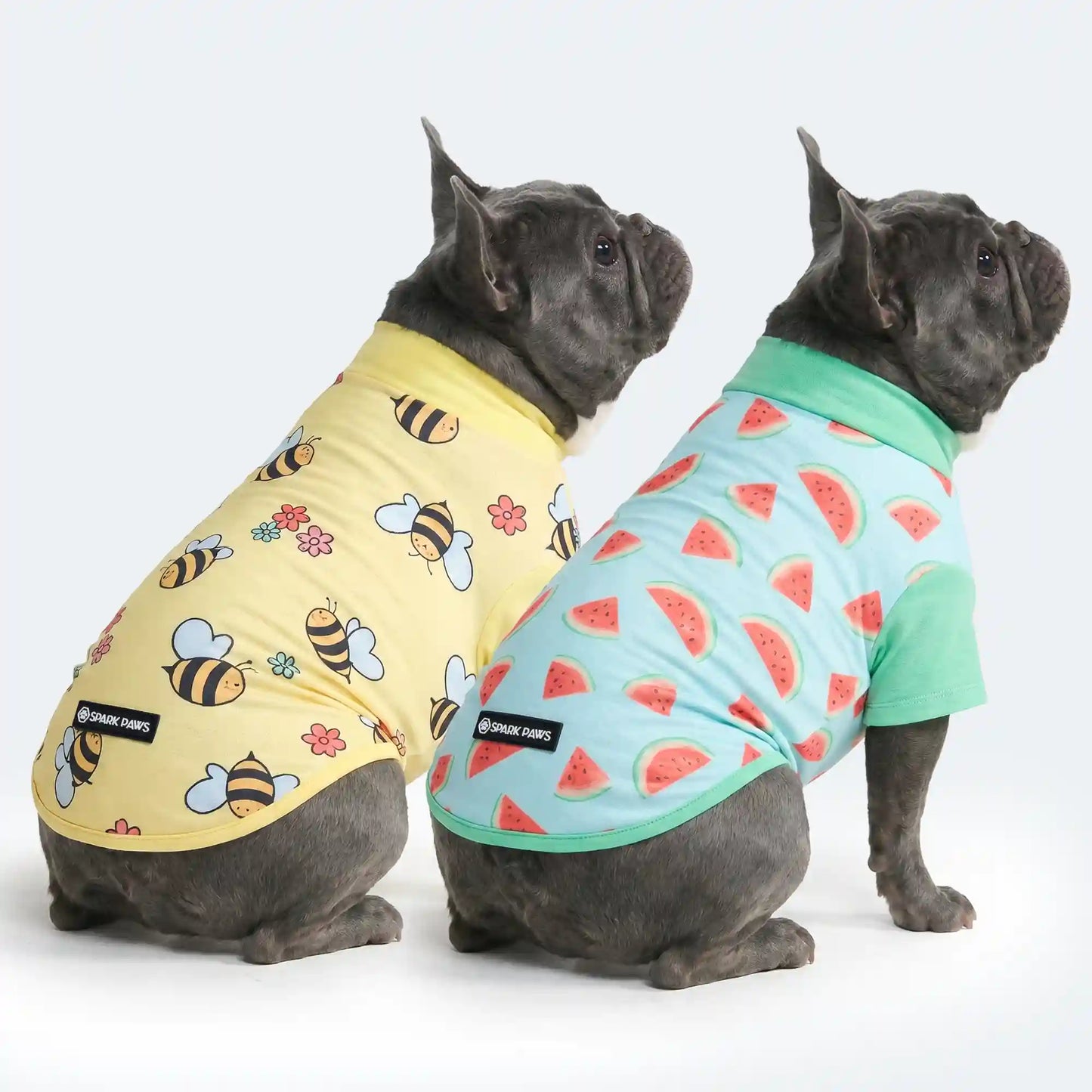 Sunblock Dog T-Shirt 2-pack