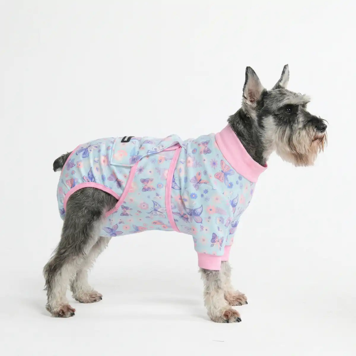Dog Surgical Suit