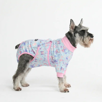 Dog Surgical Suit