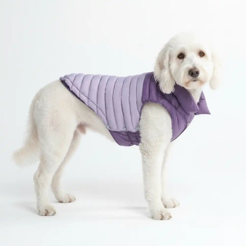 PuffShield Winter Jackets