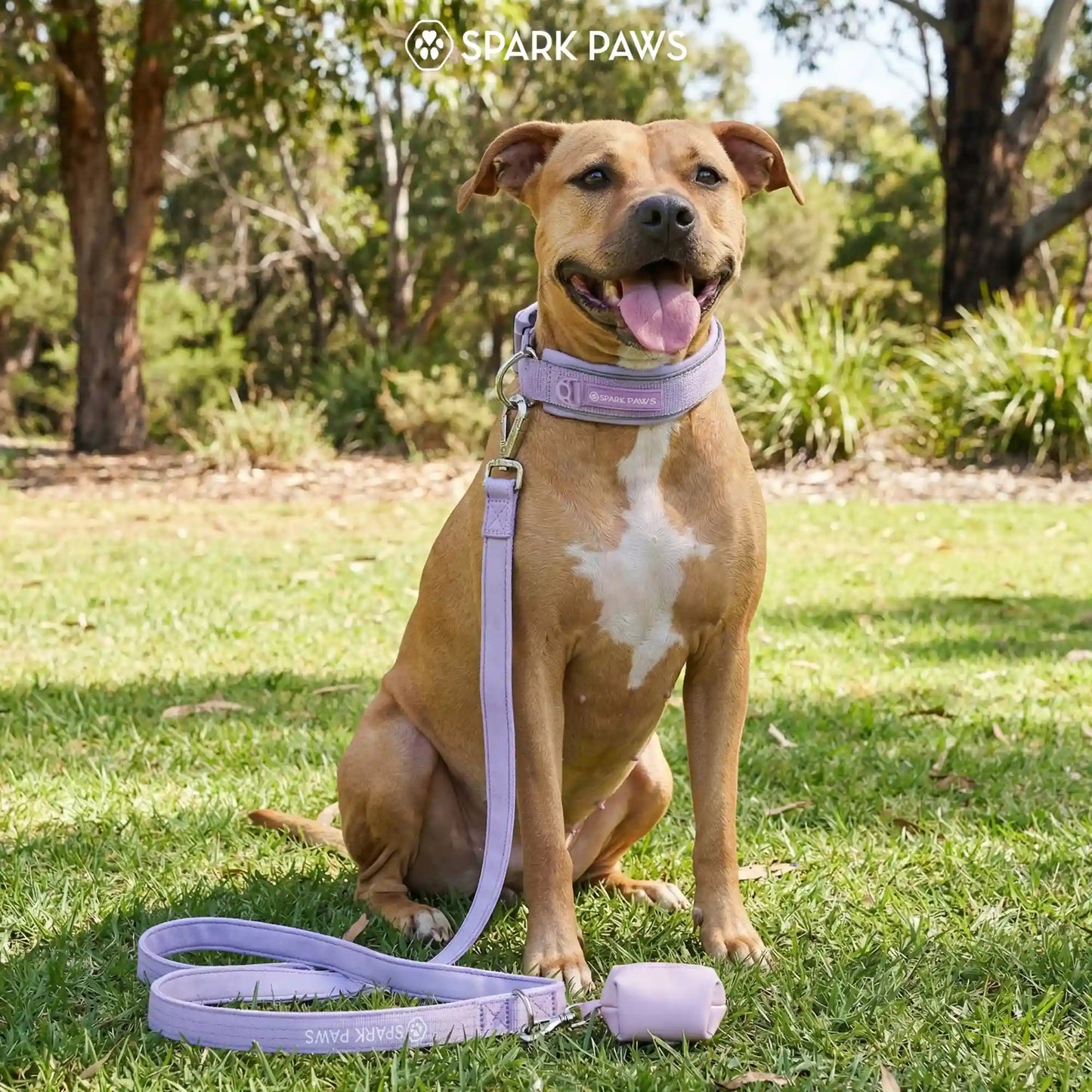 Martingale Collar Set - Lilac