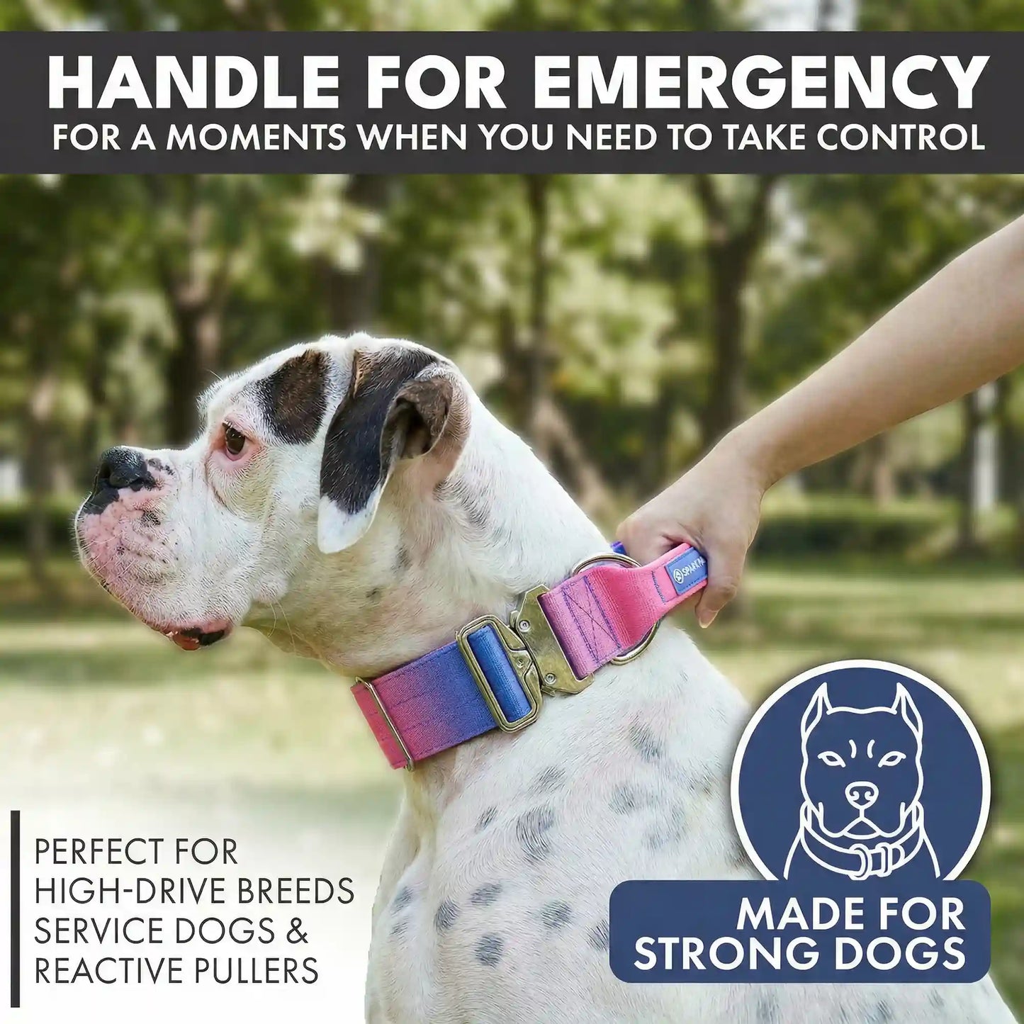 Comfort Control Collar and Multipurpose Leash Sets