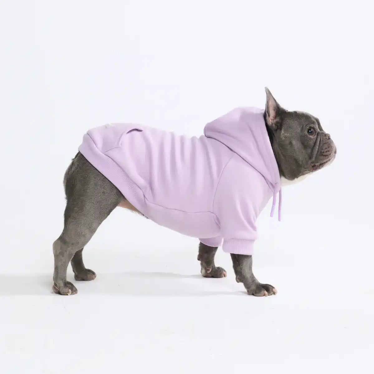Essential Dog Hoodies