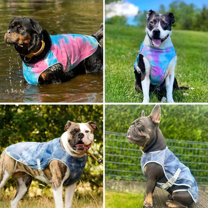 Dog Cooling Vest (2-pack) - Ice Blue & Snow Cone