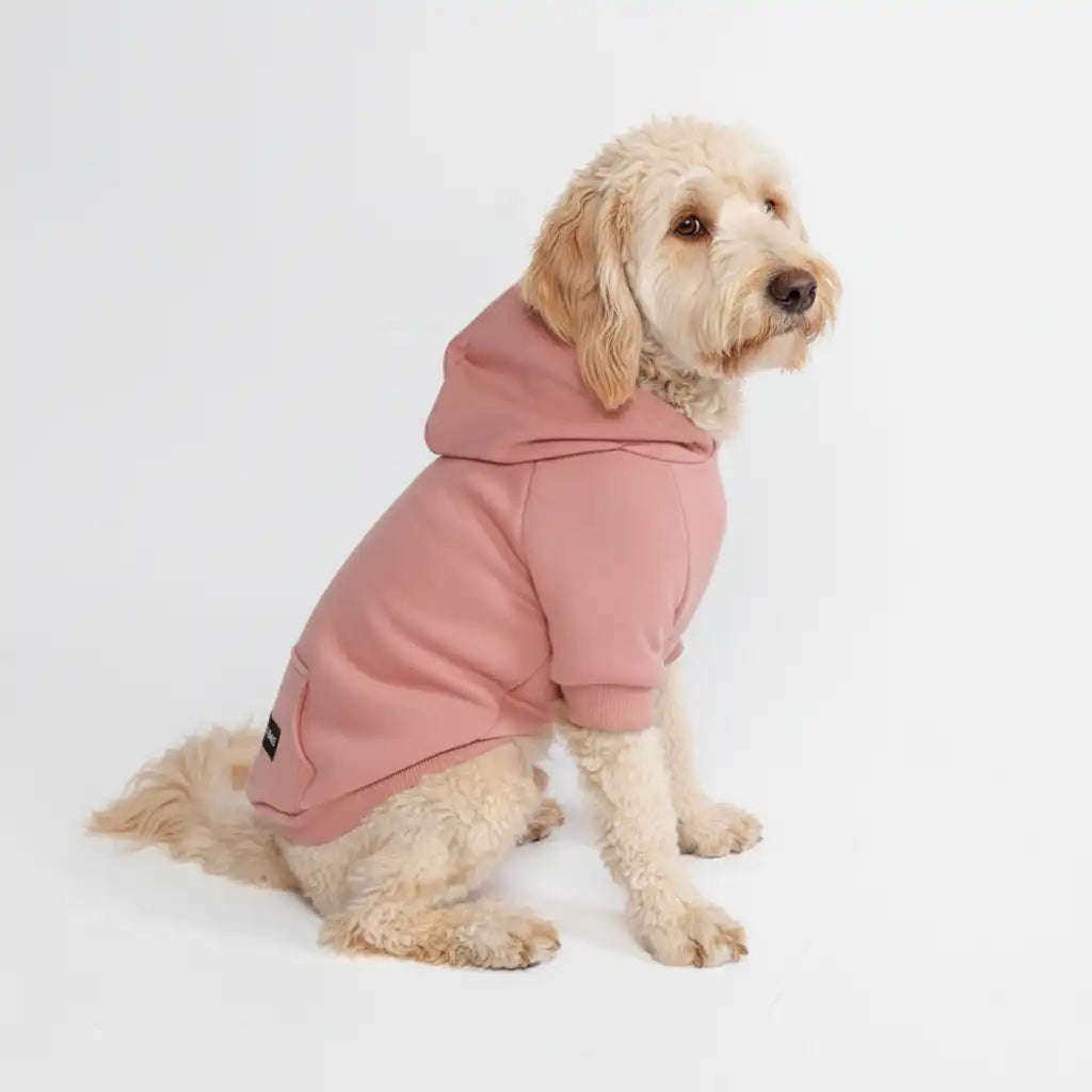 Essential Dog Hoodies
