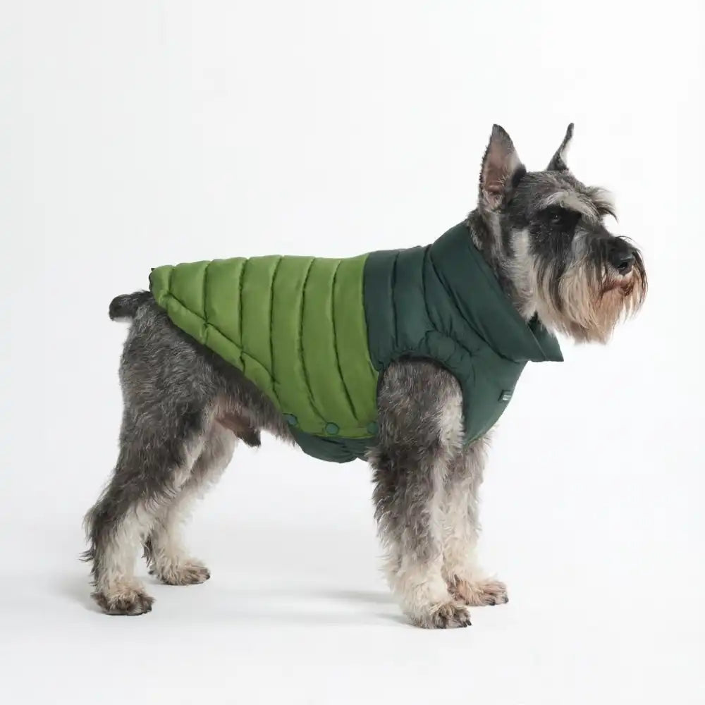 PuffShield Winter Jackets