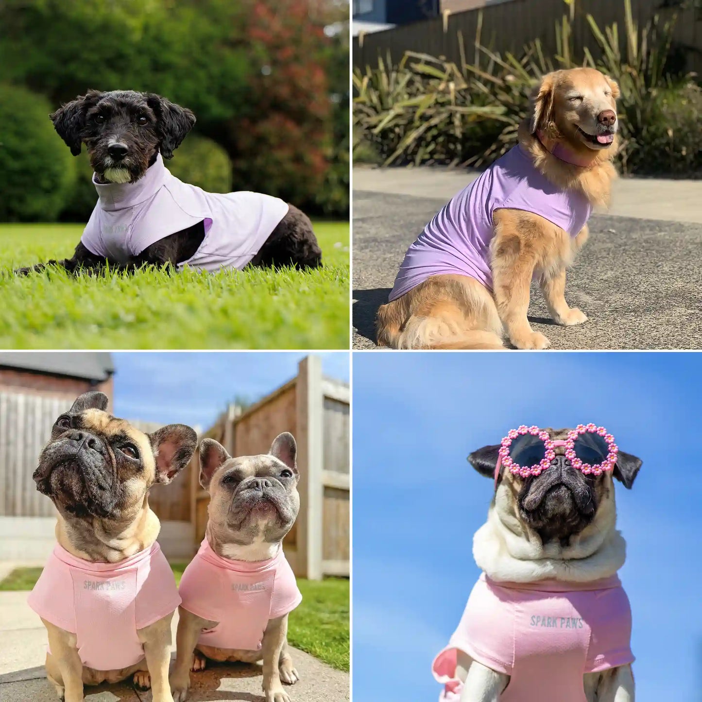 Sunblock Dog T-Shirt 2-pack