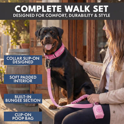 Martingale Collar and Multipurpose Leash Set - Pink