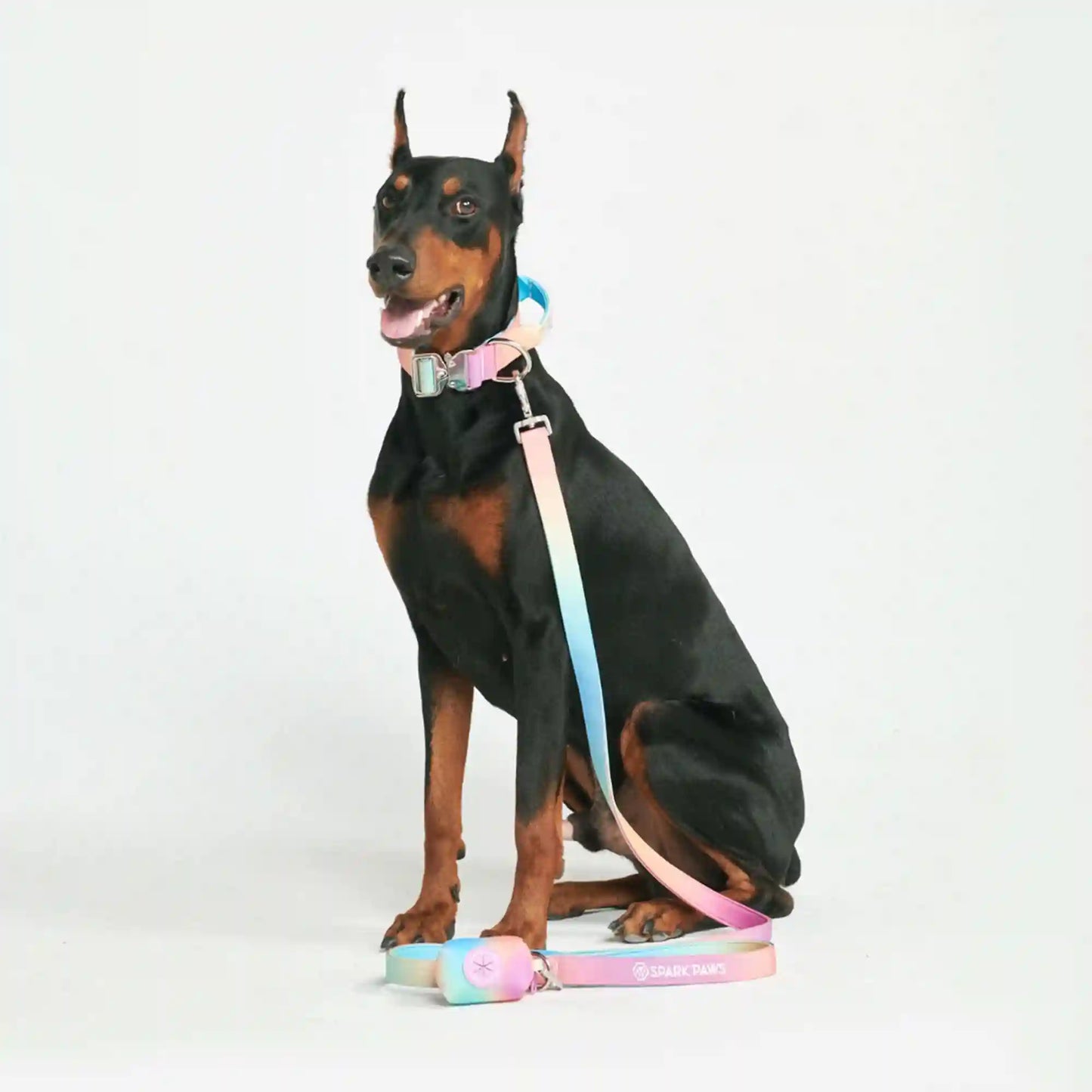 Leash and Poop Bag Holder Set