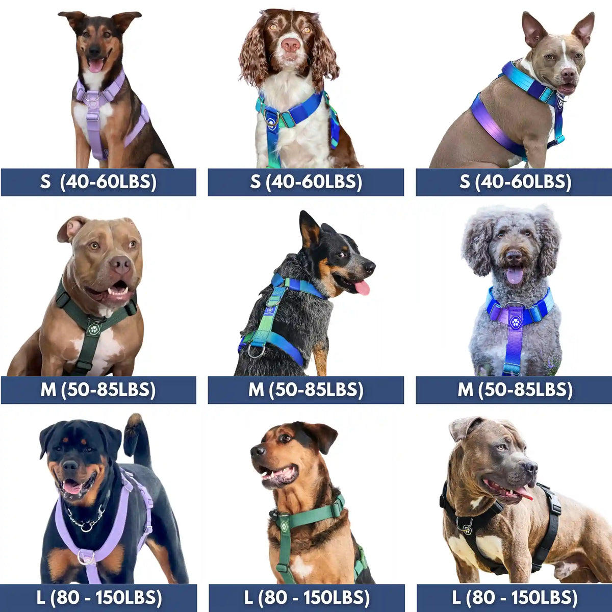 Comfort Control™ No-Pull Dog Harness - Lilac
