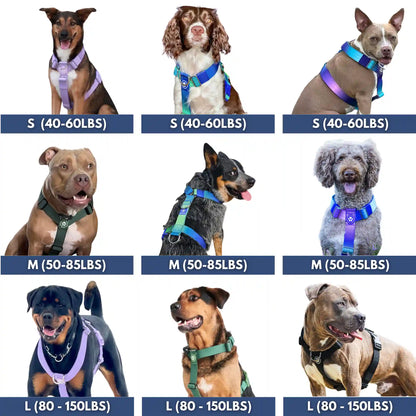 Comfort Control™ No-Pull Dog Harness - Lilac
