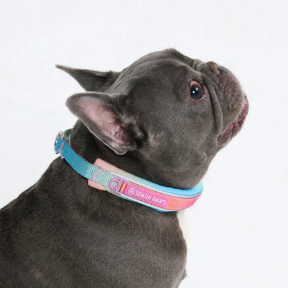 Cushioned Martingale Collars