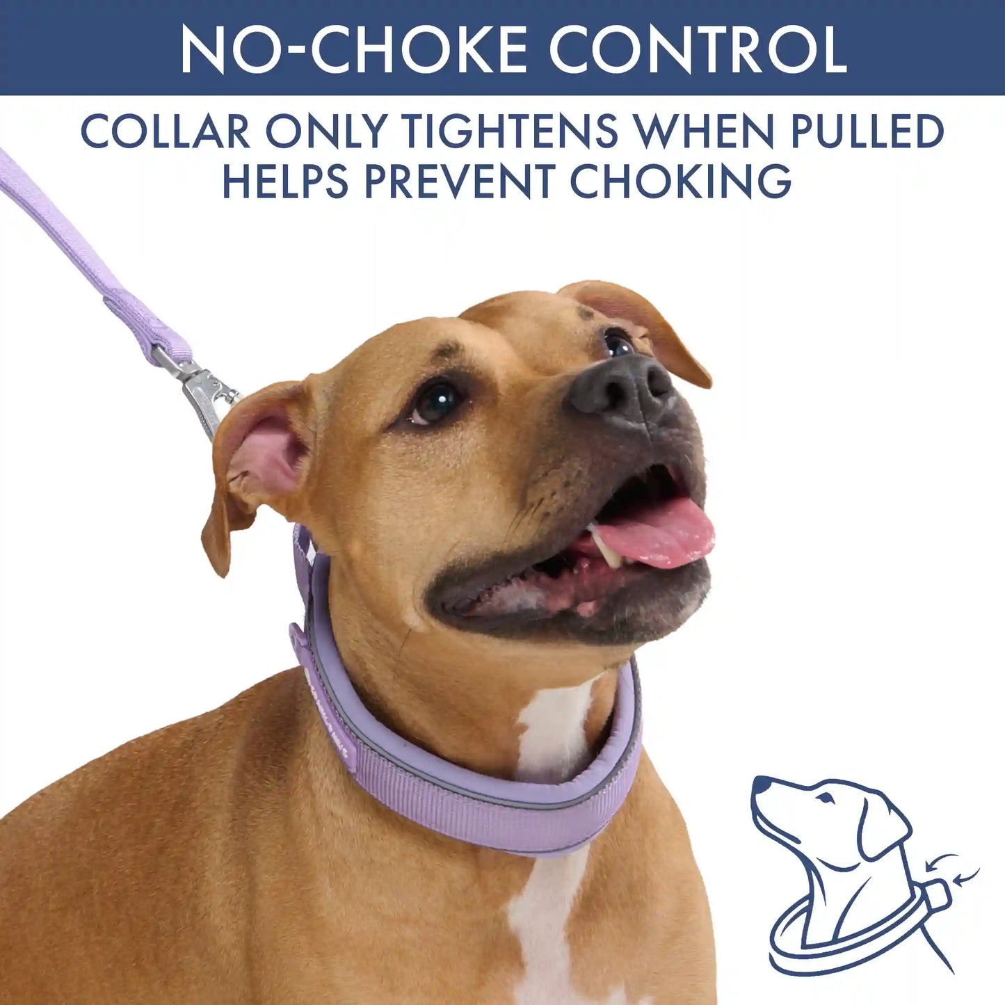 Martingale Collar and Multipurpose Leash Set - Lilac