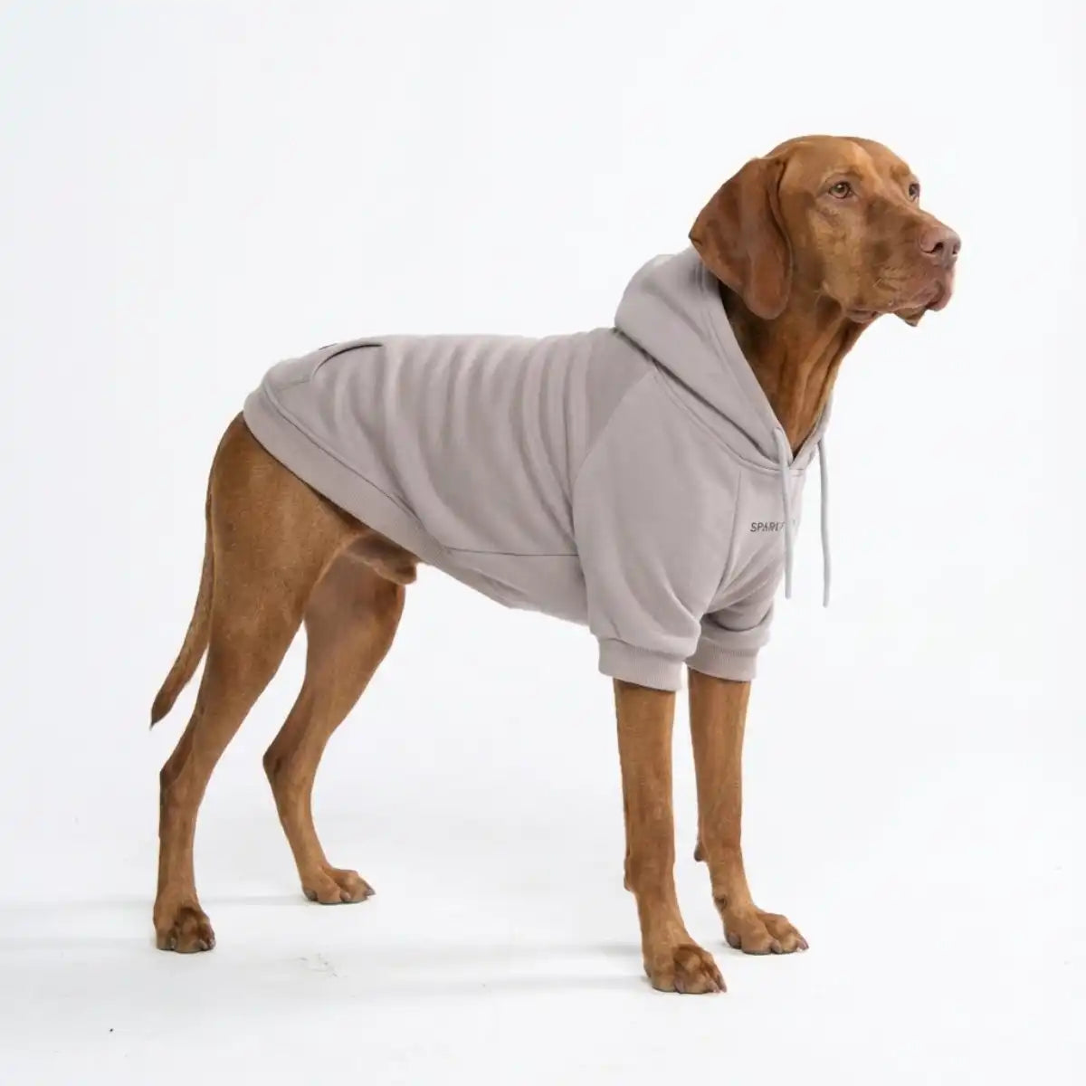 Essential Dog Hoodies