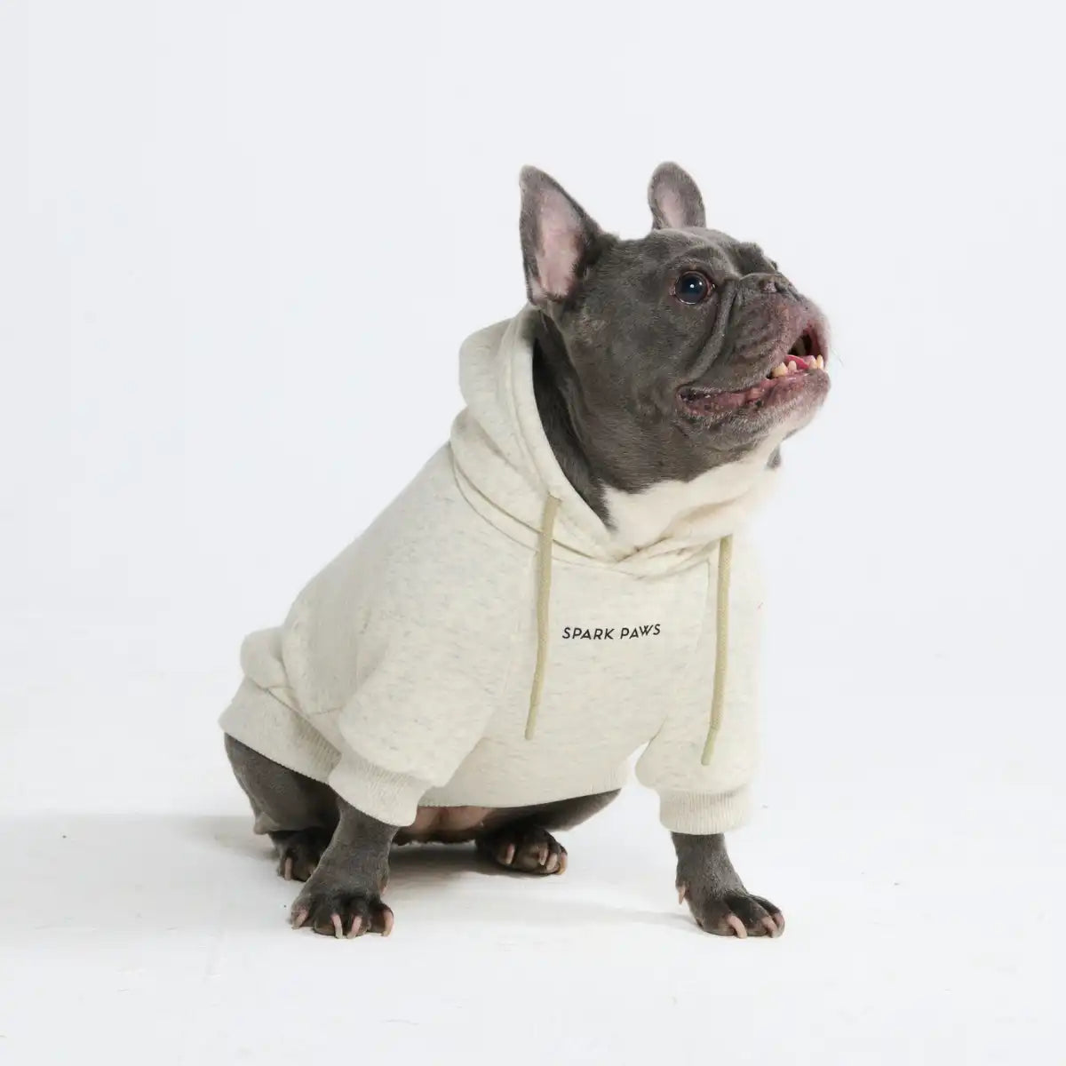 Essential Dog Hoodies