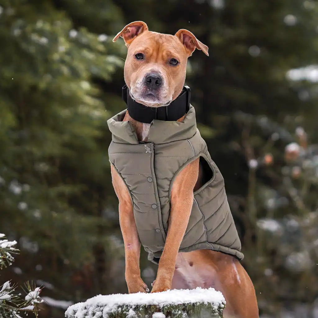WarmShield Water-Resistant Jackets