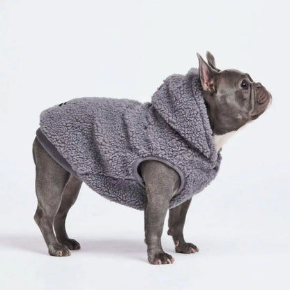 Teddy Sherpa Dog Jackets