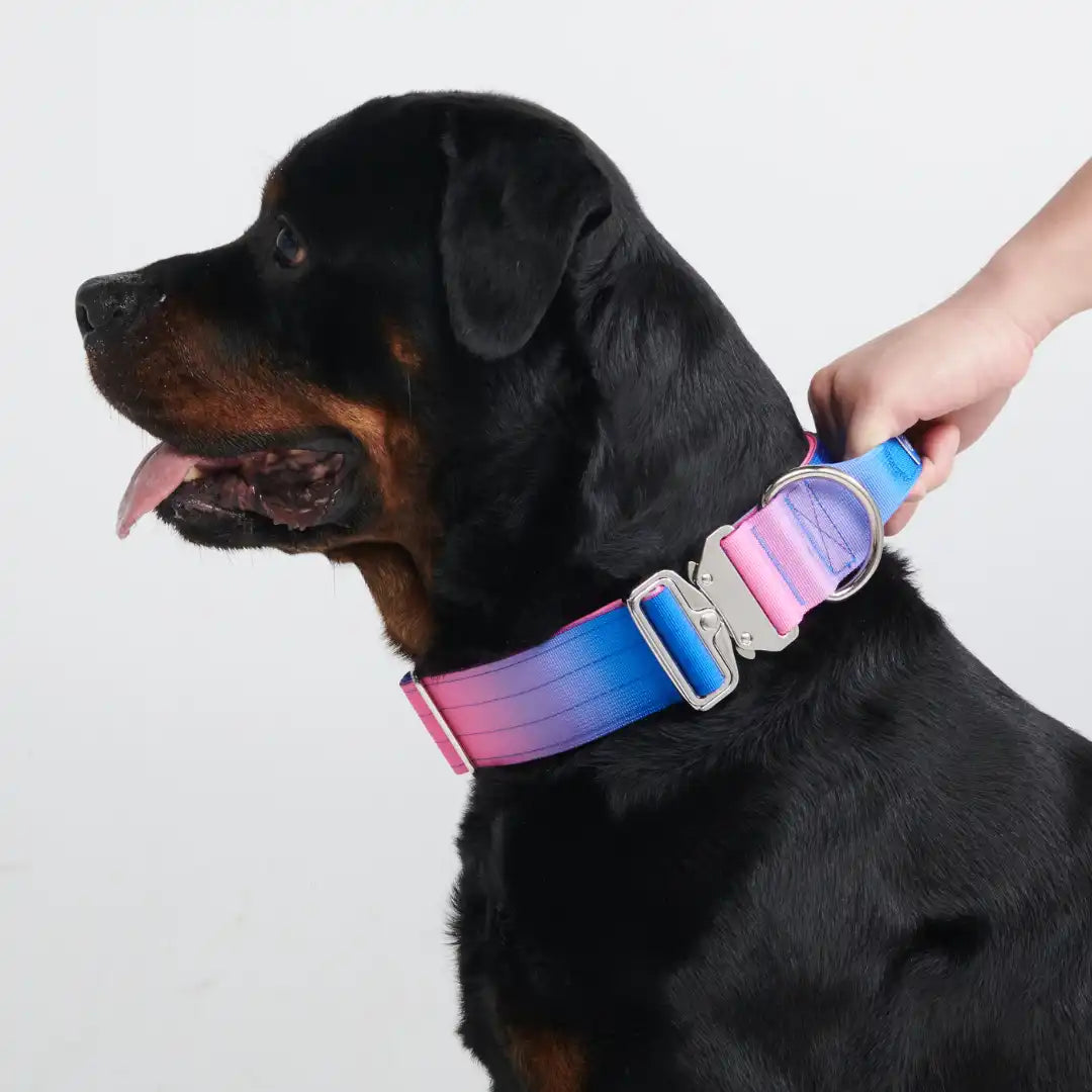 Comfort Control Dog Collars