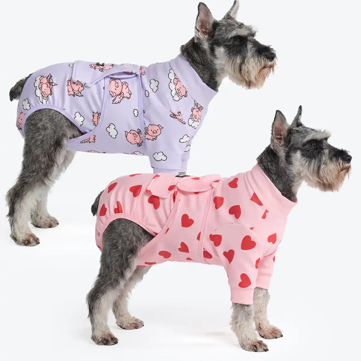 Dog Surgical Suit  2-pack