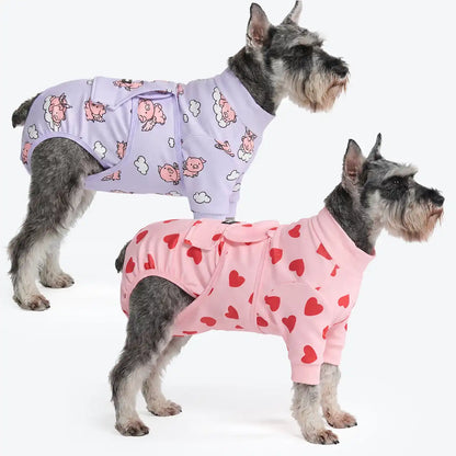 Dog Surgical Suit  2-pack