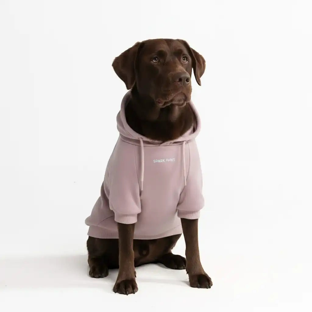 Essential Dog Hoodies