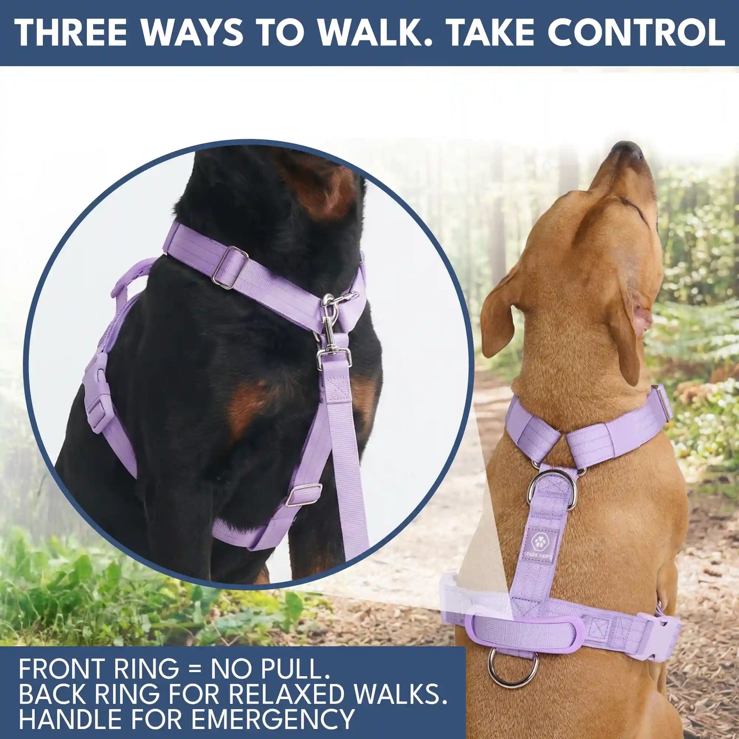 Comfort Control No-Pull Dog Harness and Multipurpose Leash Sets