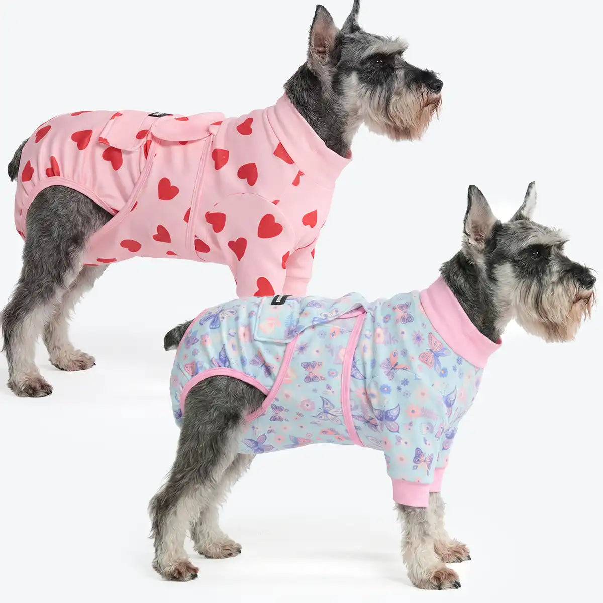 Dog Surgical Suit (2-pack) - Butterfly and Pink Hearts