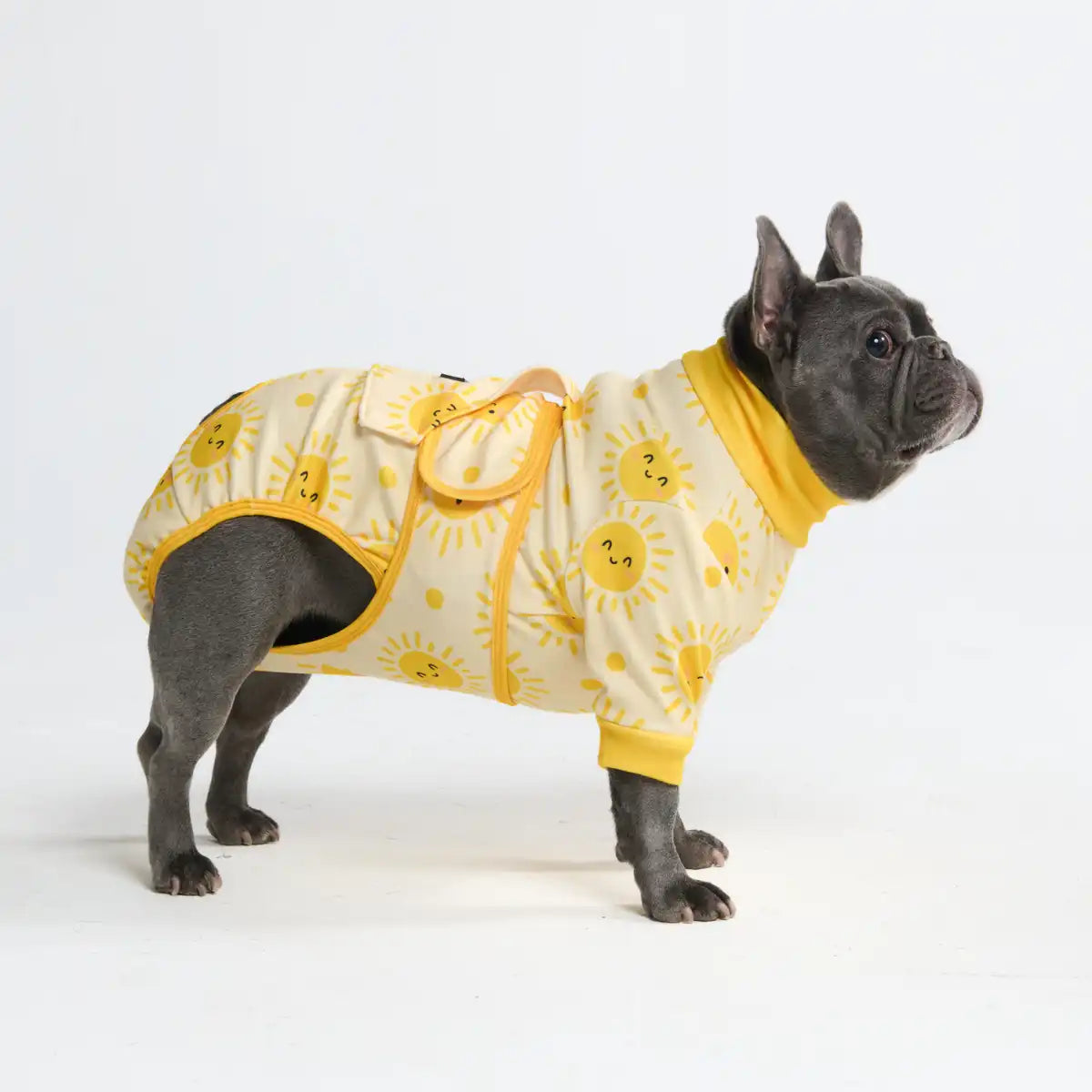 Dog Surgical Suit