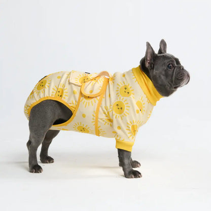 Dog Surgical Suit