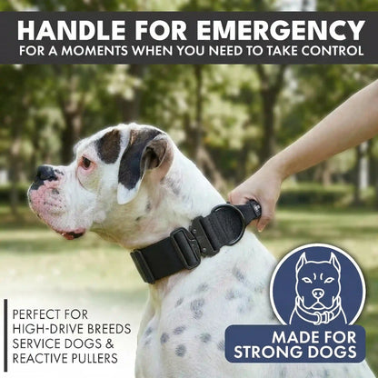 Comfort Control Collar and Multipurpose Leash Sets