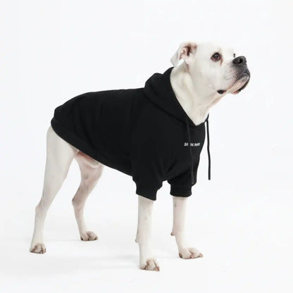 Essential Dog Hoodies