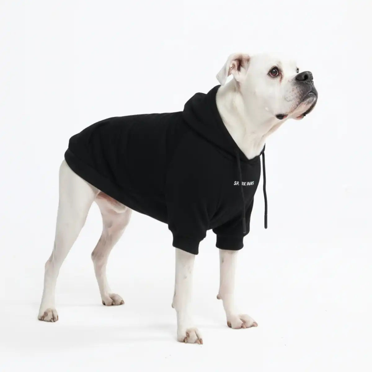 Essential Dog Hoodie - Black