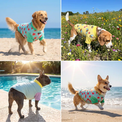 Sunblock T-Shirt 3 Pack