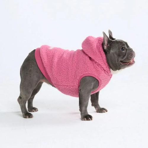 Teddy Sherpa Dog Jackets