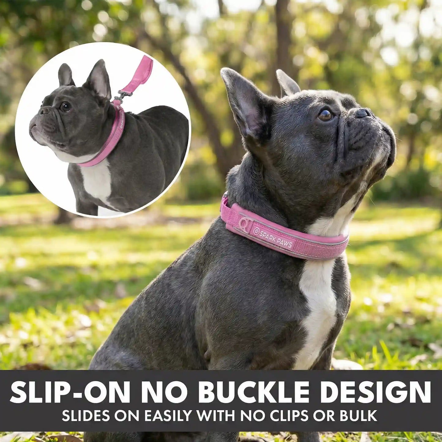Martingale Collar and Multipurpose Leash Sets
