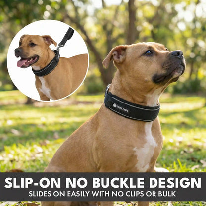 Martingale Collar and Multipurpose Leash Sets