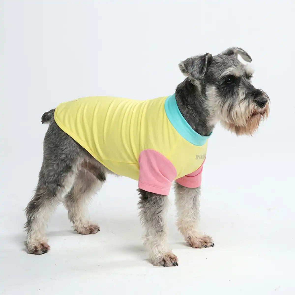 Sunblock Dog T-Shirt - Color Block